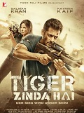 Tiger Zinda Hai