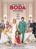 Hasta que la boda nos separe (The Wedding Unplanner)