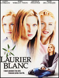 Laurier blanc