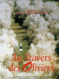 Au travers des oliviers